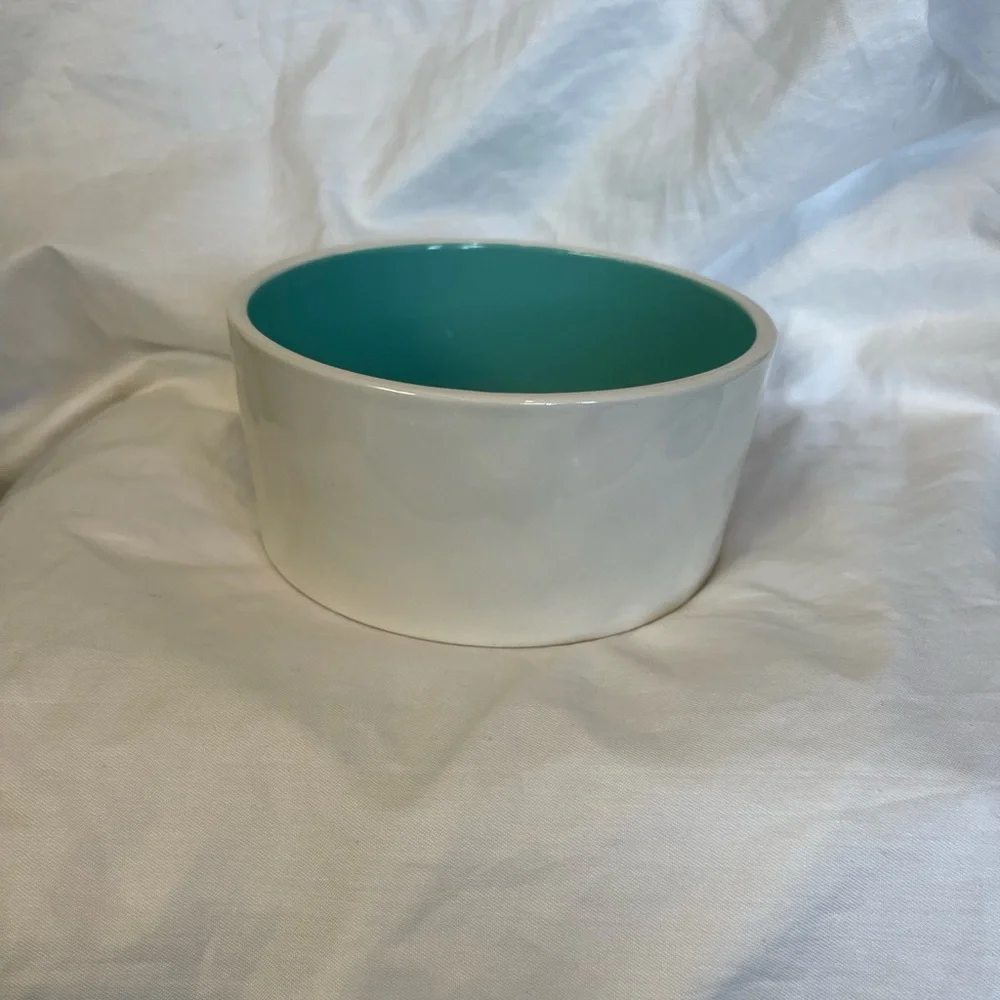 Rae Dunn White and Teal Pet Bowl